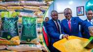 Rice business set for major boom as Lagos trains millers on fortified rice production