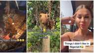 "Skinny cows, they don't feed them well": Ukraine lady lists her dislikes in video after visiting Nigeria
