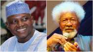COVID-19 lockdown: Presidency tackles Soyinka, says he is a fiction writer, not medical professor
