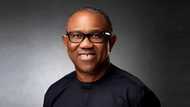 Gara in Mutu da dai in Gazawa Magoya Bayana, Peter Obi