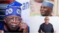 Atiku, Tinubu or Obi: Fashola Discloses Party, Candidate That Will Win 2023 Presidential Election