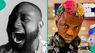 Davido: Lawyer shares only difference between DWM boss and 'wanted' Portable, triggers 30BG