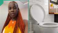 Lady who visited a man and failed to flush toilet gets unexpected message from him on WhatsApp