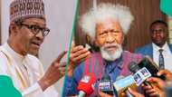 Attacks and killings: Wole Soyinka slams ex-president, tells Tinubu what to do with foreign interventions