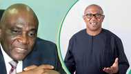 Planned nationwide protest: Peter Obi reacts after Tinubu's aide said he should be held responsible