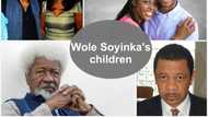 Wole Soyinka: Top things you should know about Wole Soyinka children!