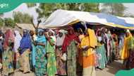 Disbelief as women in Benue IDP camps give birth to 200 babies: “Sleeping with our wives ease our pains”