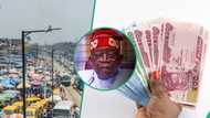 Service sector leads as Nigeria's economy grows by 2.51% in first GDP report under President Bola Tinubu