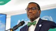 AfDB to disburse $1 billion to Nigerian, other entrepreneurs to tackle climate change