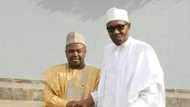 Tears in APC camp, Nigeria as Buhari's campaign coordinator dies