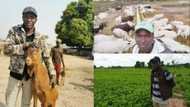 Nigerian farmer lists 5 reasons why FG should commence RUGA settlements nationwide
