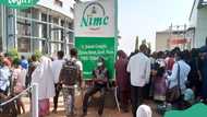 Why does the NIN portal keep failing? Tracing the causes behind Nigeria’s identity system breakdowns
