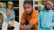 "YBNL soldiers": Nigerians choose Fireboy as all-time favourite, Asake comes 2nd