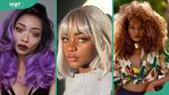 12 best black girl hair dye colours: trendiest looks to try out