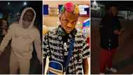 “I no go where dem dey shoot gun”: Portable slams promoters over violence at Italy show venue, video trends