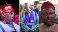 Ganduje Leaked Audio: Kano Gov't Breaks Silence on Tinubu, Kwankwaso Meeting