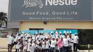Nestlé Nigeria grows revenue by 61% to reverse N142 billion loss