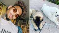 Woman set to sue Chris Brown, claims singer tried to cover up for his dog after it attacked her
