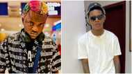 "You send 'awawa' boys make dem come catch me": Portable calls out Small Doctor, rains heavy curses