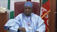 Drama as Nigerian senator appoints 18 special assistants in one day