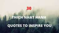 Top Thich Nhat Hanh quotes that will inspire you