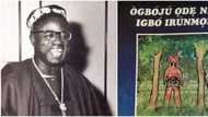 D.O Fagunwa: Nigerian author who wrote about spirits and died by drowning while investigating a story