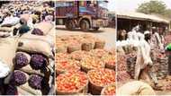 Food dealers make U-turn on ban of foodstuff to southern Nigeria