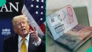 Visa waiver program: US releases full requirements for citizens of eligible countries