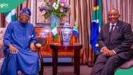 South Africa announces passport-free visa application for Nigerian tourists