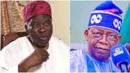 Attack on Tinubu: APC campaign team lambasts Akintoye, asks history professor to concentrate on his old age