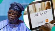 FG announces job vacancy for accountant general, lists requirements, interview dates