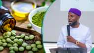 Herbal medicine: CEO shares benefits of natural remedies, company’s tea for diabetes