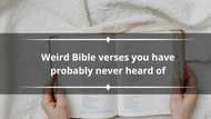 20 weird Bible verses you have probably never heard of