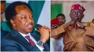 “8k is almajirinization”: Shehu Sani tells Nigerians what to do before collecting President Tinubu’s N8,000