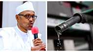 Breaking: Petrol price may hit N190 as landing cost hits N180 per litre