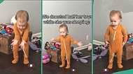 Little girl's reaction after parents donated her toys while she was asleep trends online