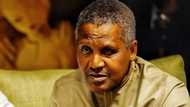 Rashin tabbas a Afirka: Dangote zai bude sabon ofis a Amurka