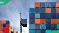 Forex: Imported containers drop as CBN adjusts dollar rate to clear goods at port