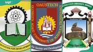 Best state university in Nigeria: List of top 10 contenders