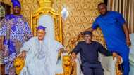 Alaafin of Oyo: Gbajabiamila cancels chieftaincy title ceremony