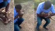 Viral video shows touching moment good samaritan resuscitated a dying monkey by performing CPR on it