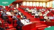 Just In: Senate takes notable action on Nigerian women, children trapped in Libyan prisons