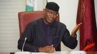 We’ll probe Omo-Agege once we have a petition - Senate