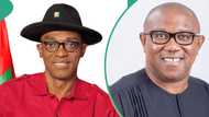 LP crisis: How Abure dismissed Peter Obi’s advice for inclusive convention, Yinusa Tanko speaks