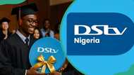 DStv Padi channels, prices, and why it is a good starter package