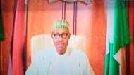 We will take firm, decisive action against expressions that undermine national security - Buhari