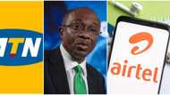 Nigerians to now pay N6.98 for every USSD code transaction - CBN