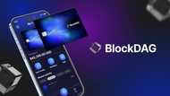 Lock in Your Blockdag Coins Now for Maximum Returns! Shiba Inu Whales and Algotech Go Wild