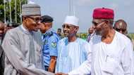 Buhari's chief of staff Abba Kyari goes on self-isolation after testing positive to coronavirus, aides told to do so
