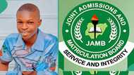 JAMB result of brilliant boy from Ondo State surfaces online as he scores 350 in 2024 UTME